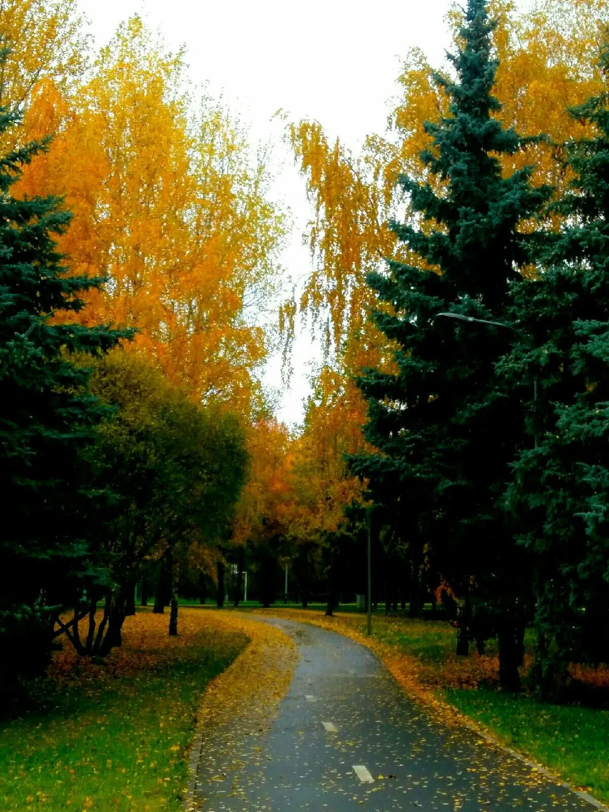 Октябрь на свете