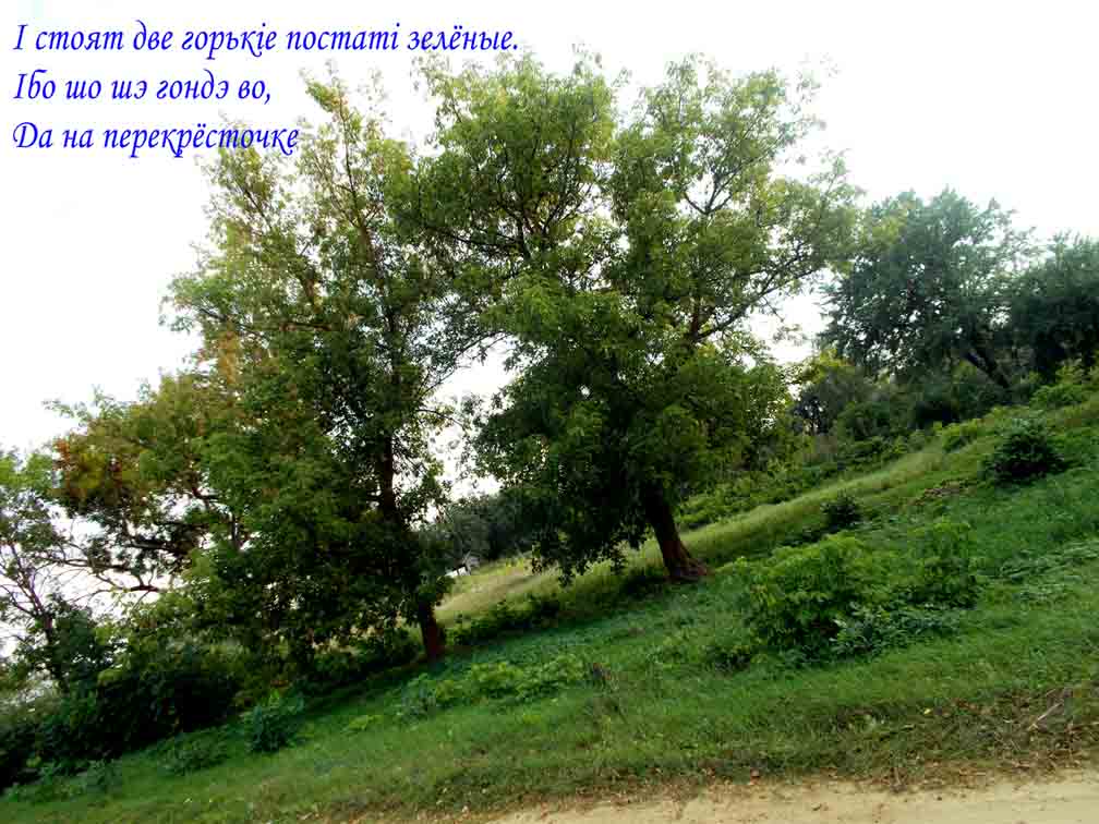 Вмив жэ, видиш, и мыш