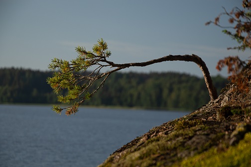 Дышу тобою я Россия, дышу тобою моя сласть...
