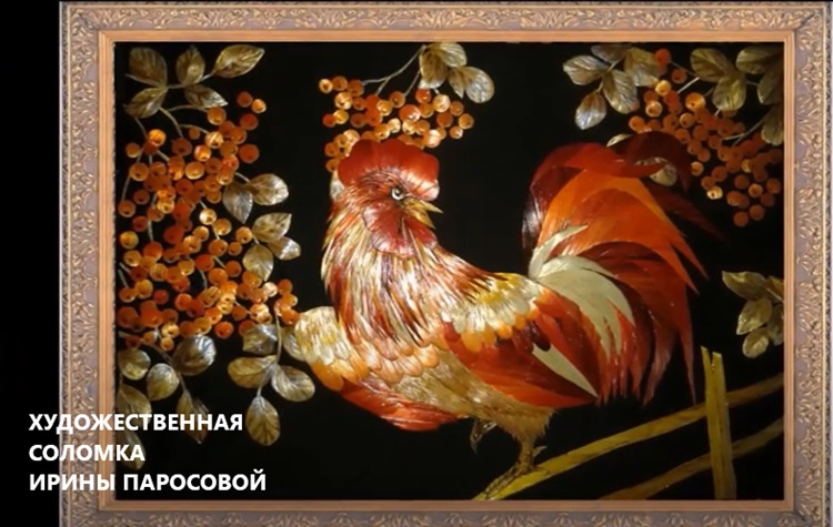 Птичий калейдоскоп