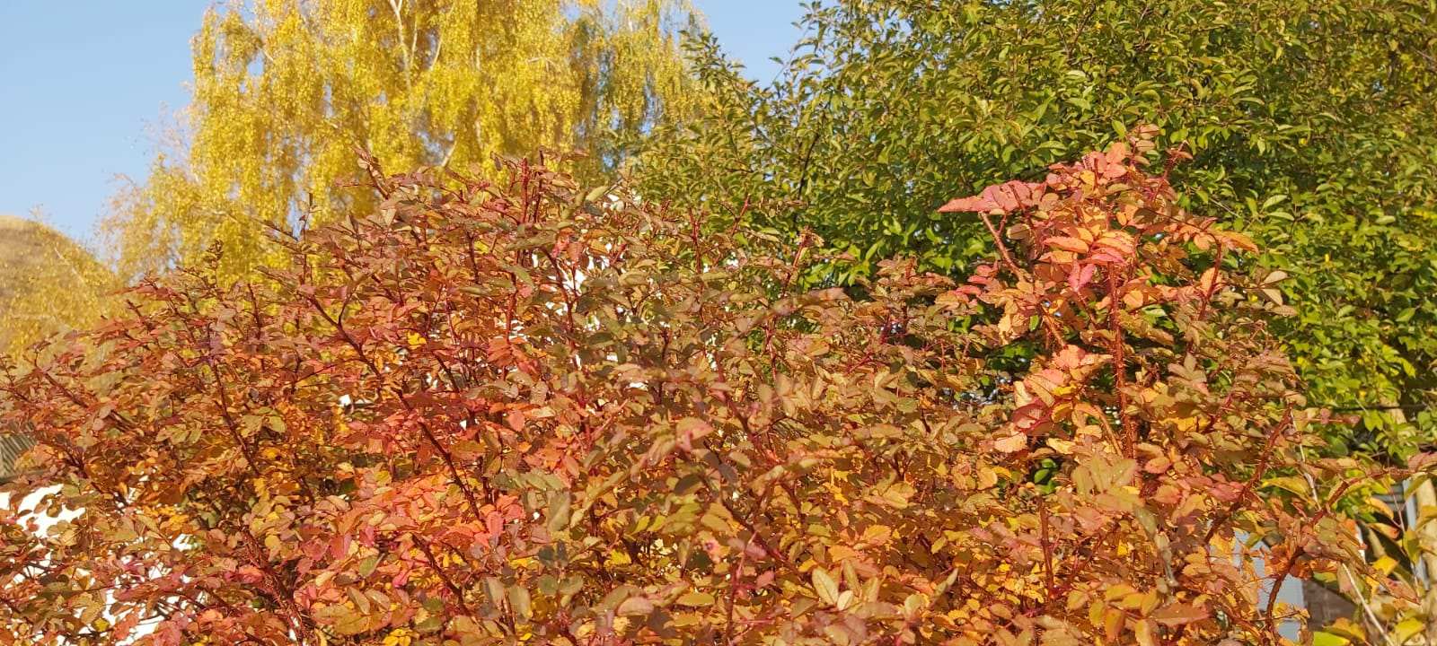 У природы тоже есть свои капризы...