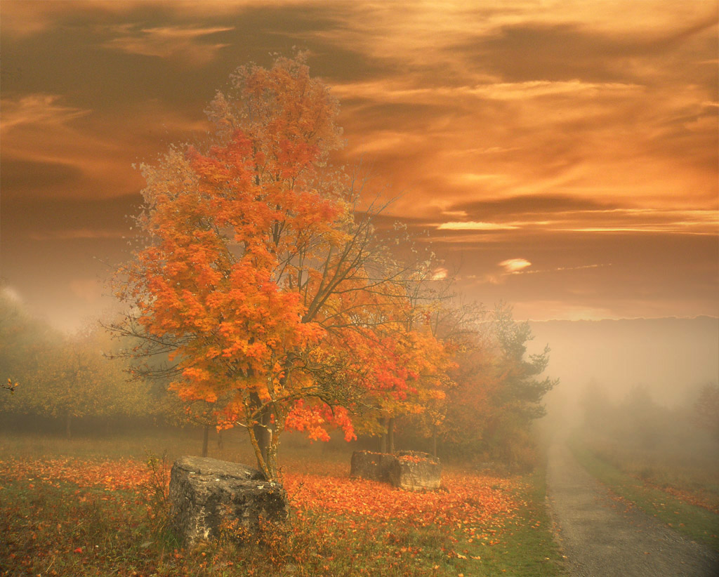 И золотом оплачен лета дар...