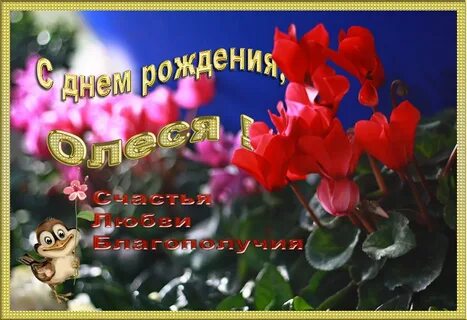 Олеся Красивые Картинки