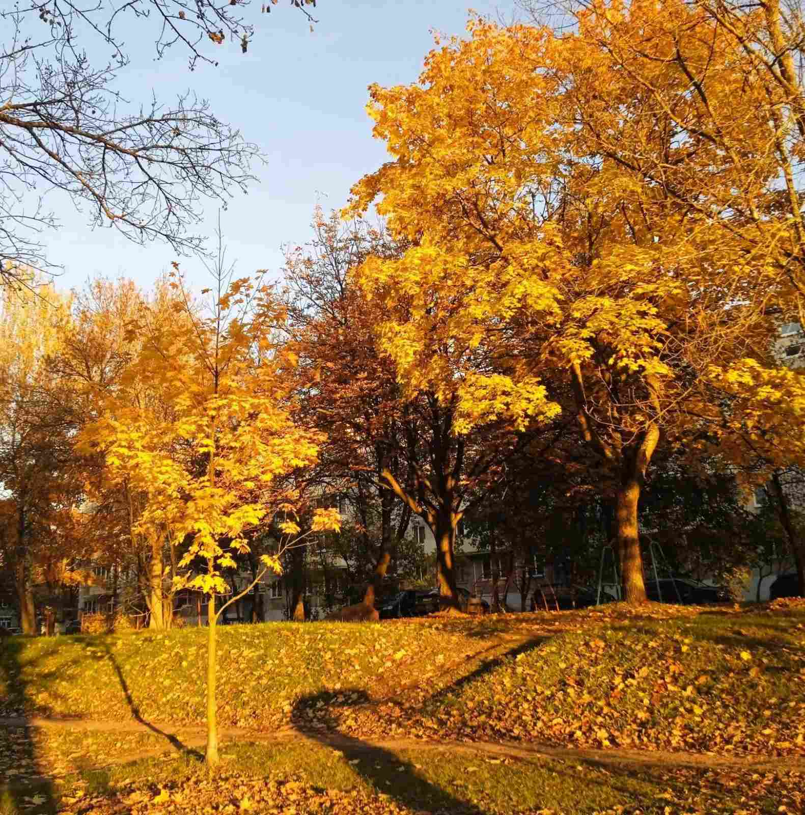 В Осень каждый наверно влюблён