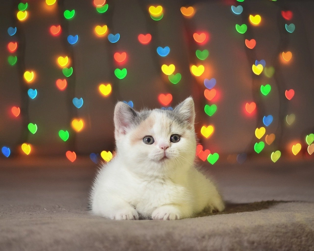 Золотистый цветочек распустился