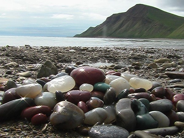 Морские дары!