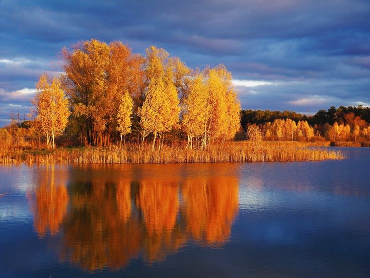 Осенний бал