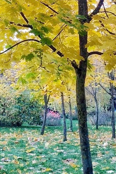 Осеннее настроение