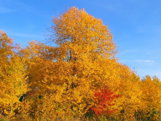 Определяя - это важно...