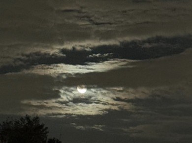 Звезды-слезы луны