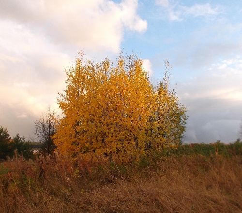 Слова о многом говорят...