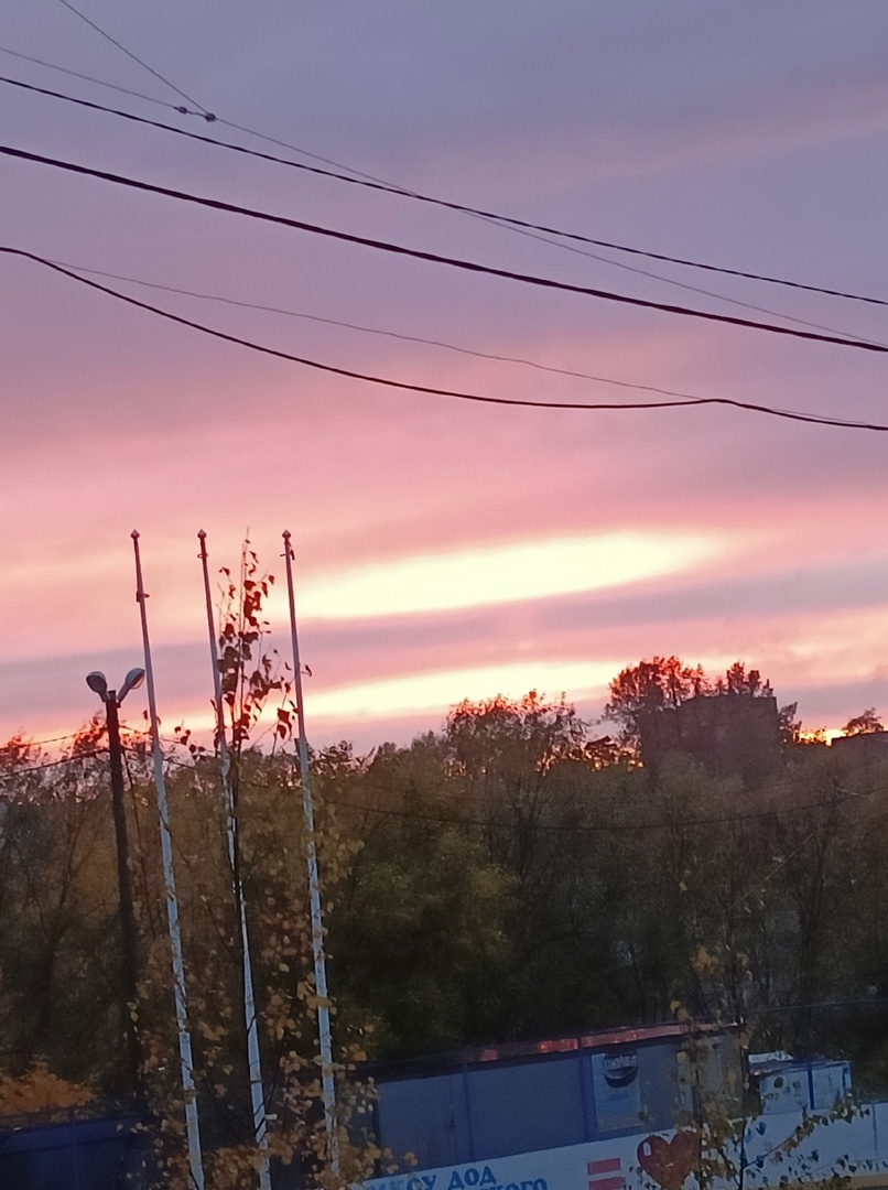 12 октября. Вчера под вечер небо прояснилось...