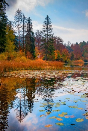 Картины осени