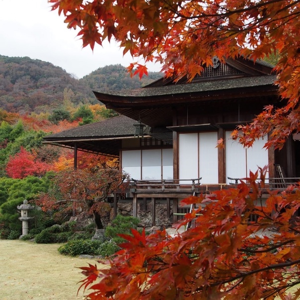 Грустная осень