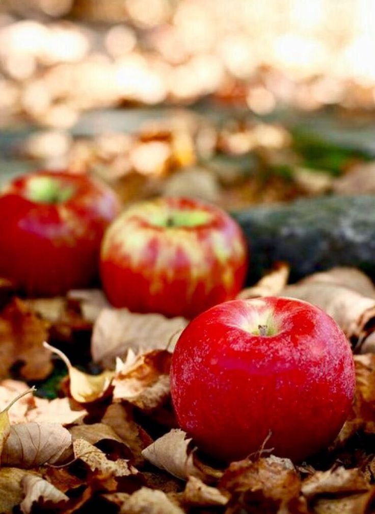 Все в нашей жизни для счастья