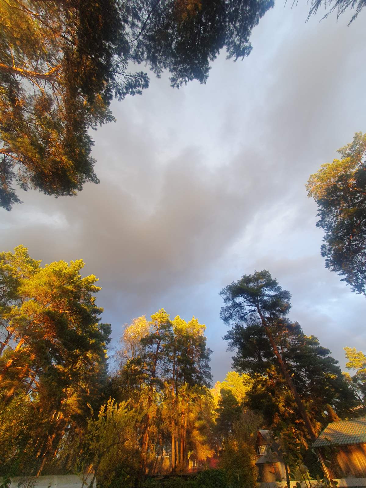 Я слышу тебя...