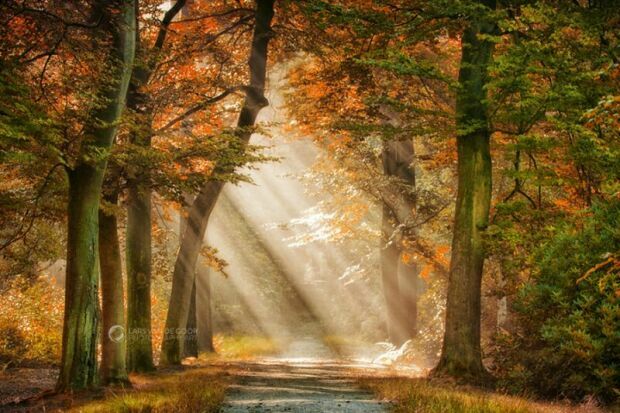 В тихие дни октября