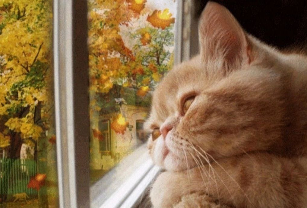 Как сберечь...