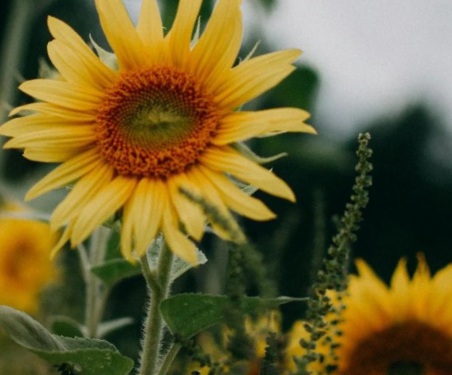 Мысли в Пути - в этом, бардаке сознаний...