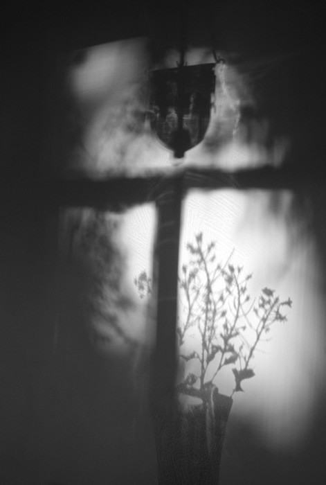 Мертвый дом