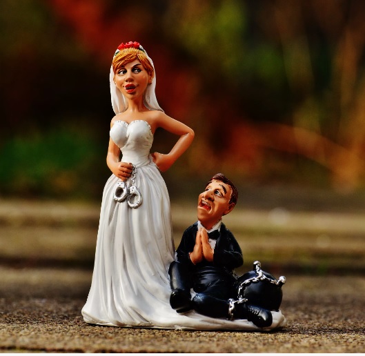 Она профессор Циммерман! Песня и стихи