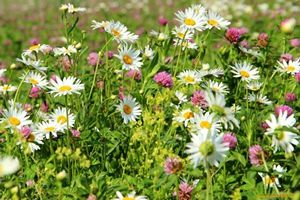 Против теченья