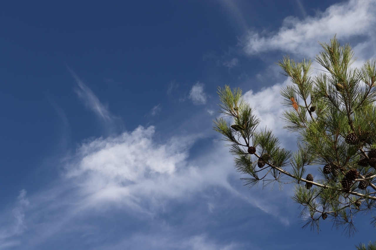 Среди холмов, морей, туманов