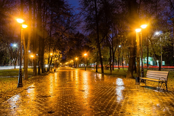 Скамейка в парке