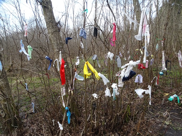 2024г. Датчик движения не обманешь. 1132