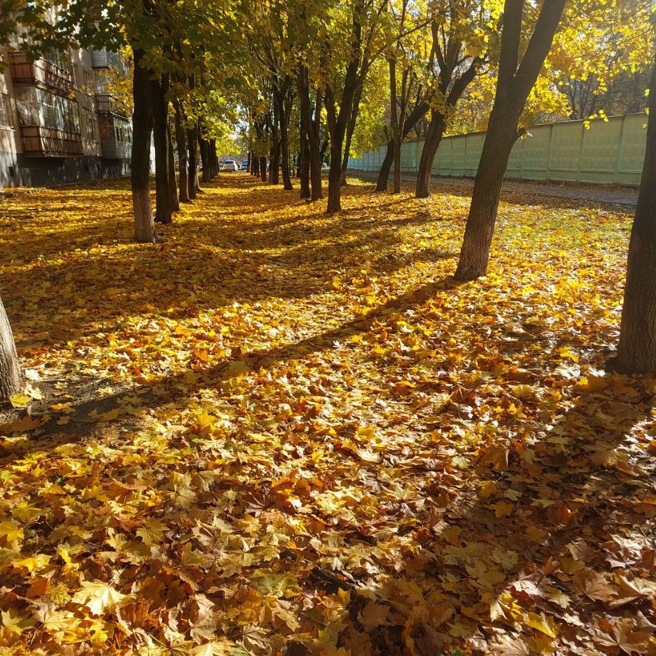 Октябрьское сопрано