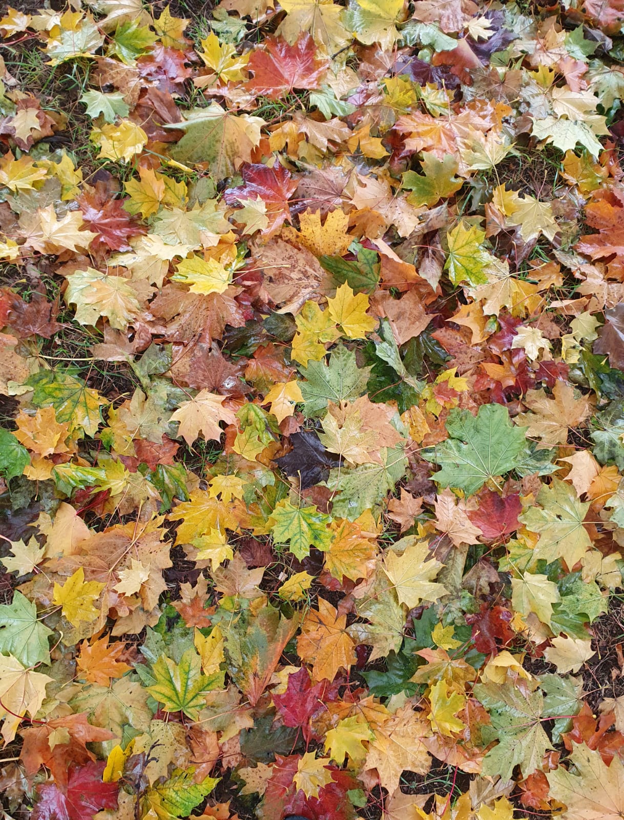 Настроение - межсезонье