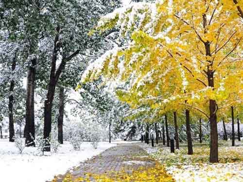 Осенние аллеи