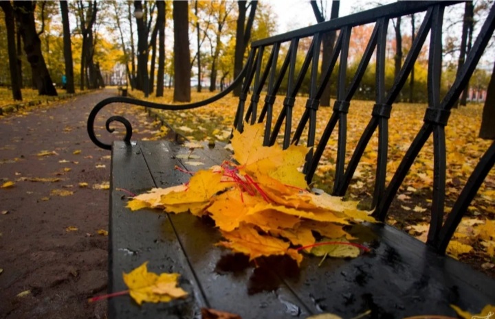 Восьмая осень