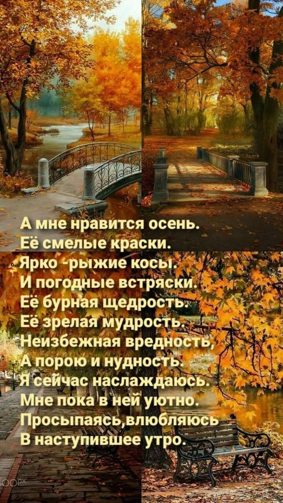 Стихи, которые заставляют задуматься...