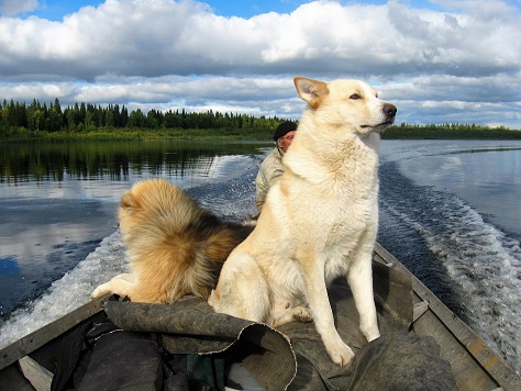 Крылья нашей памяти
