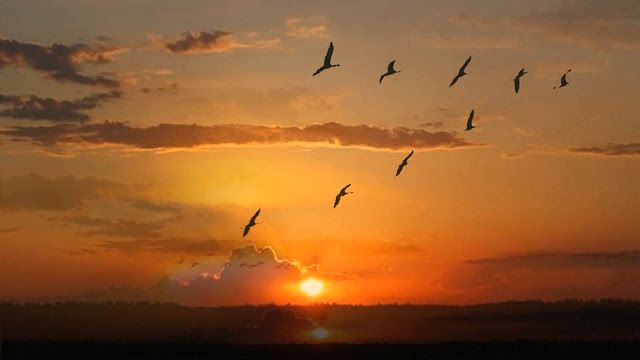 Всё дело, конечно же, в осени