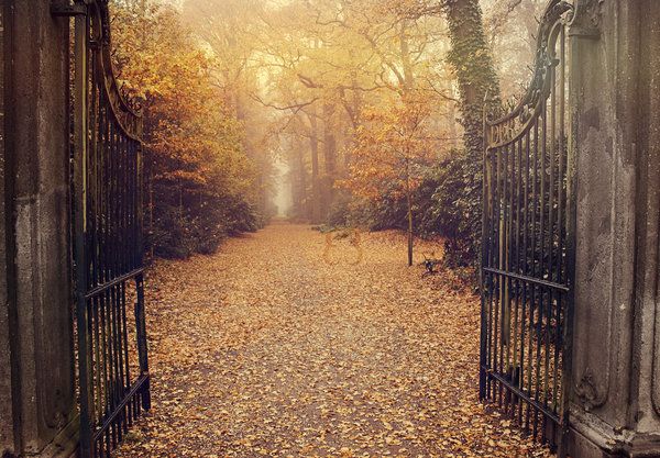 Туманной осенью