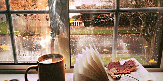 Совсем бесплатно...