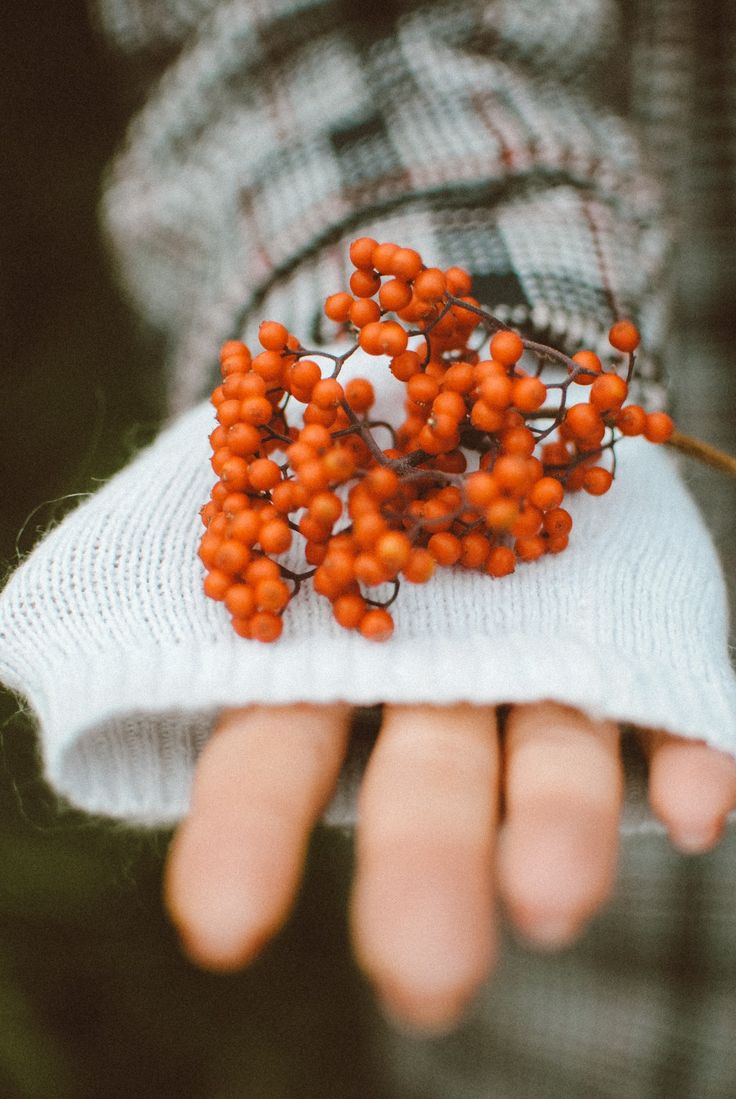 И снова об осени