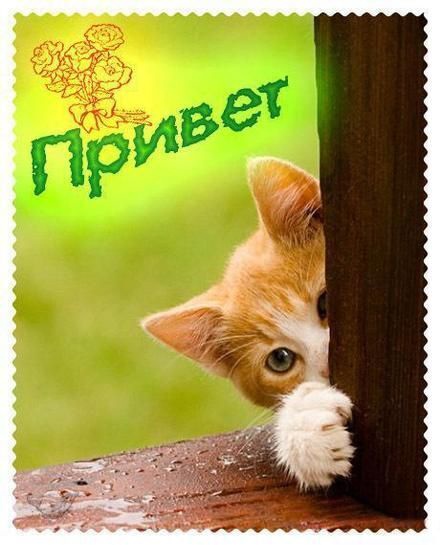 24 октября. Мысли и чувства...