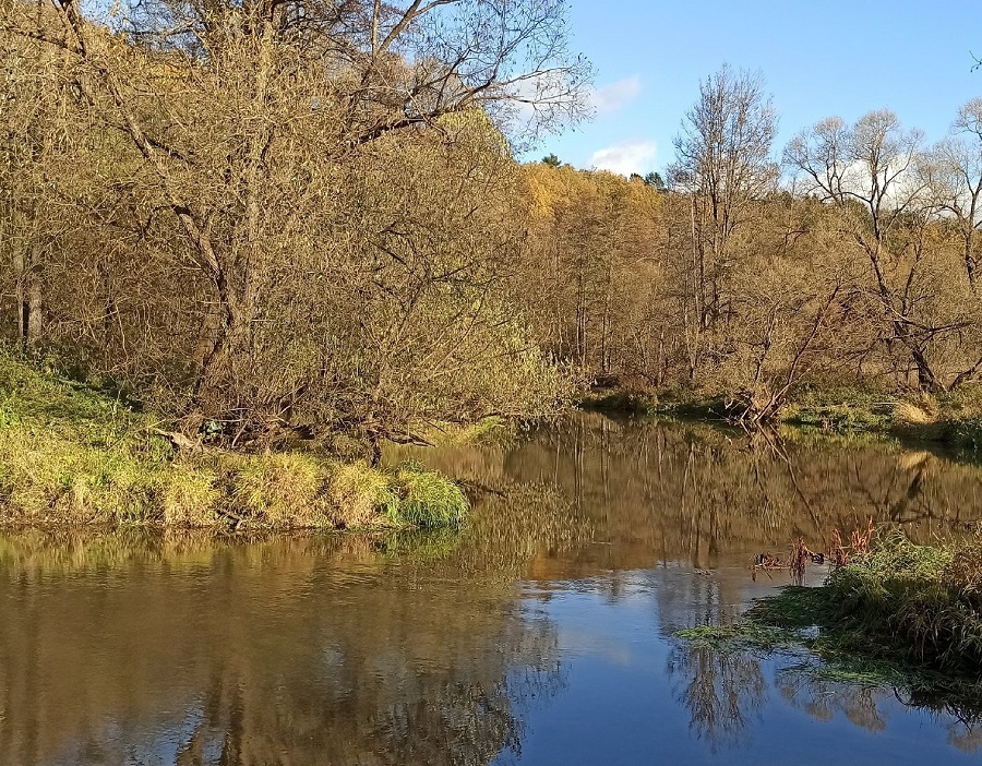Славная осень
