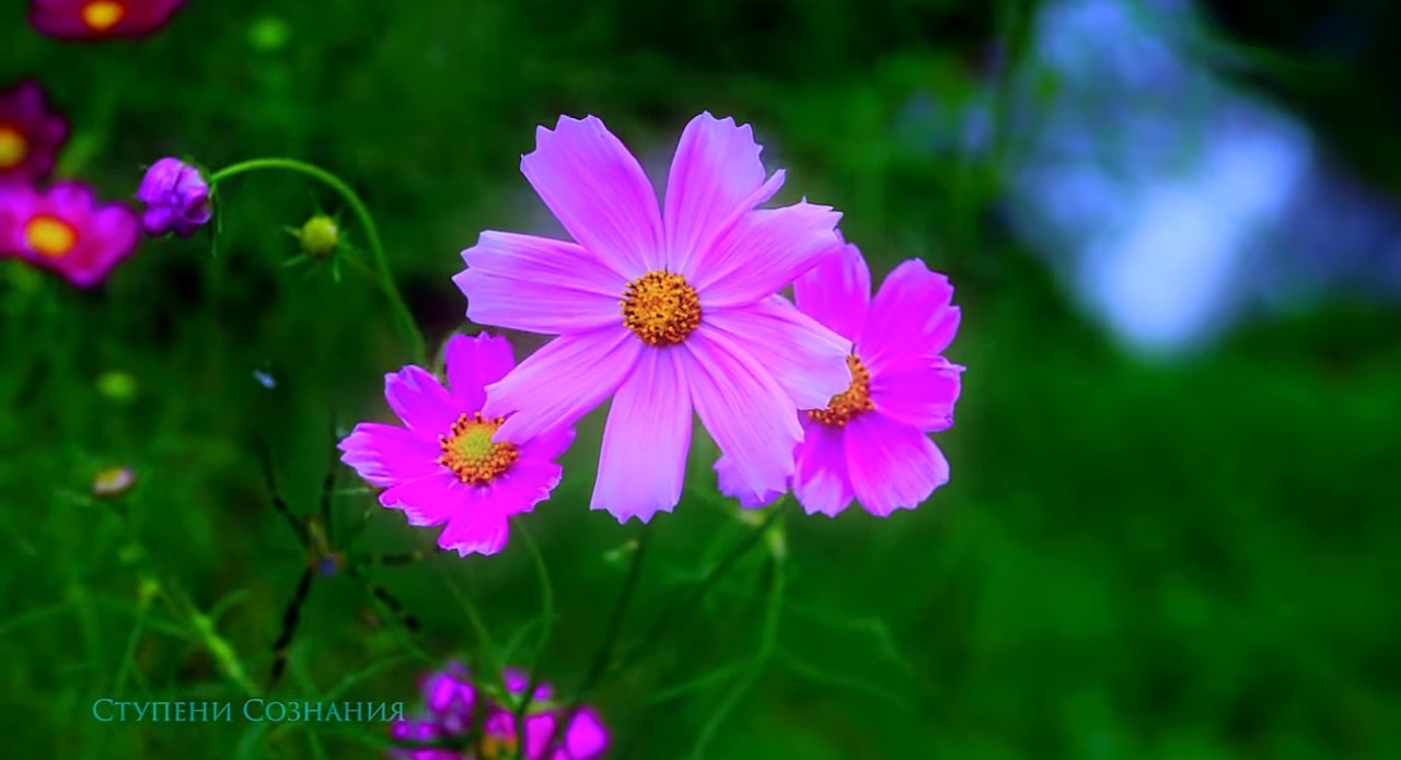 Мысли в Пути - зачем, так сильно рисковать...