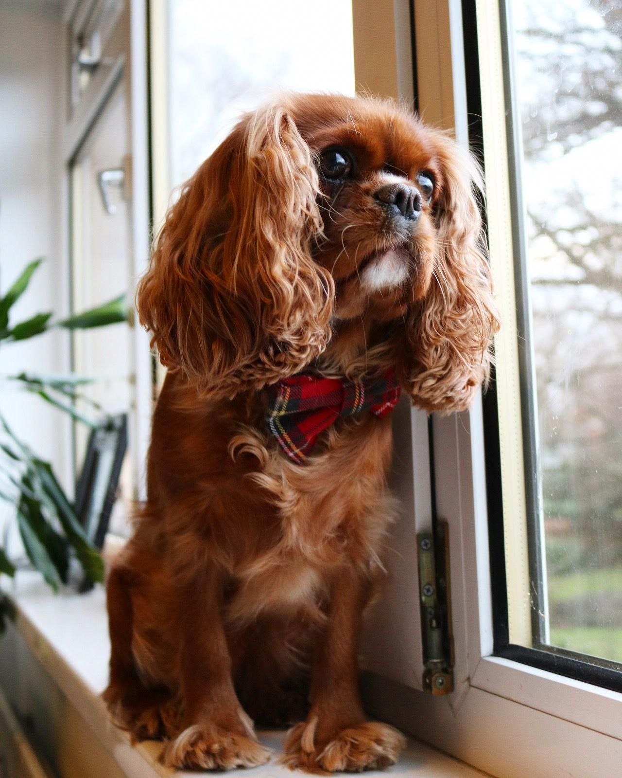 2. Тайная влюбленность