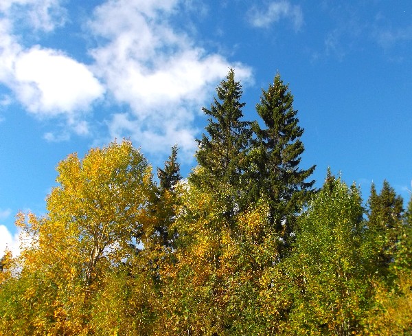 Интерес конечно превосходный...