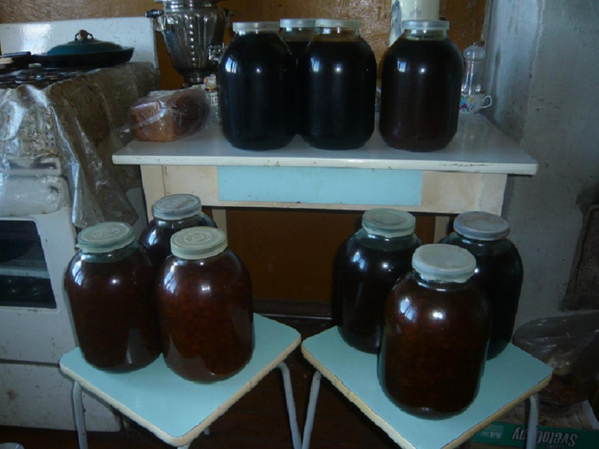 Нету ягод, в лесу. Говорили