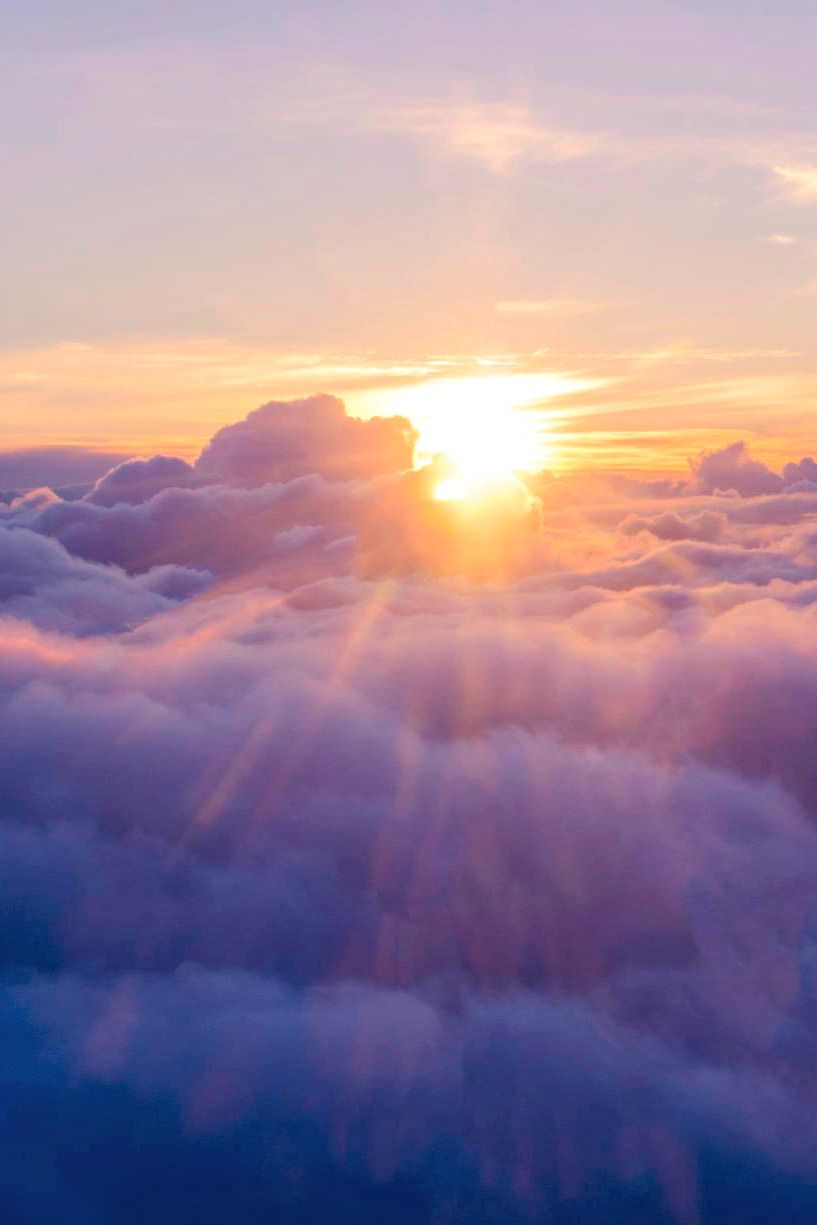 Покуда бьется сердце