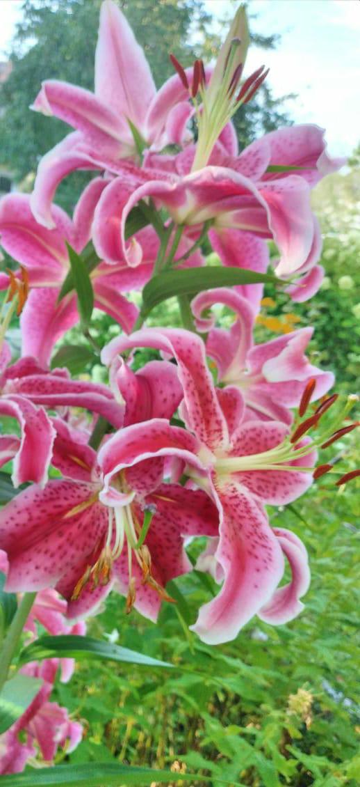 Не быть одной вам никогда!