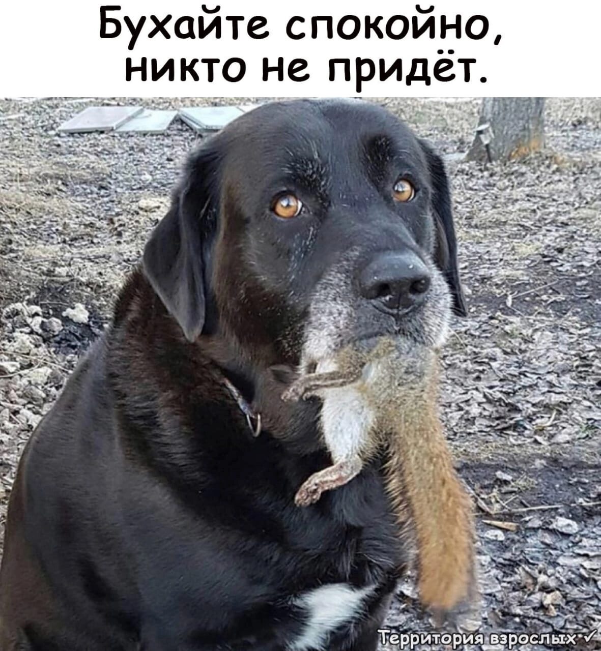 Пьяный реп