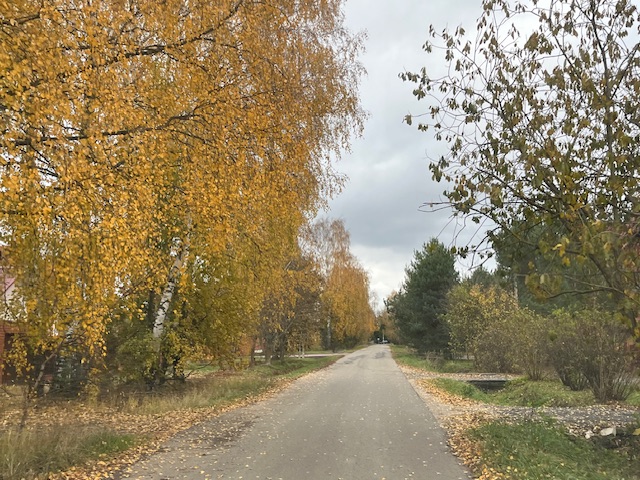 Дождь осенний