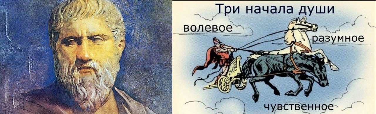 Шкура Пантеры